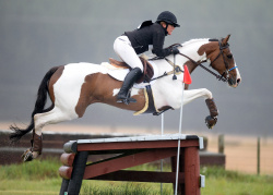 Taupo Horse Trials 2019