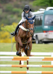 Showjumping 95cm