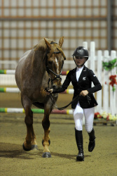 World Cup Trot Up