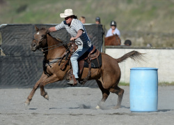 Ranch Horse September 2020