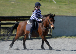 Barrel Racing