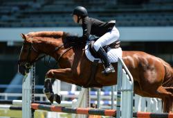 National Young Horse Jumping Show 2016