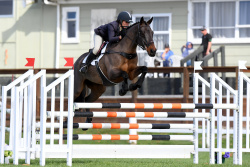 Eventing 3 Star Showjumping