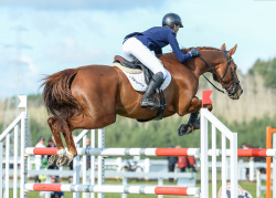 Eventing 4 Star Showjumping