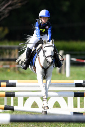 Showjumping 80cm