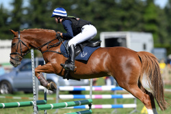 Showjumping 95cm