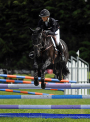 Show Jumping 95cm