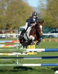 Showjumping 1.0m