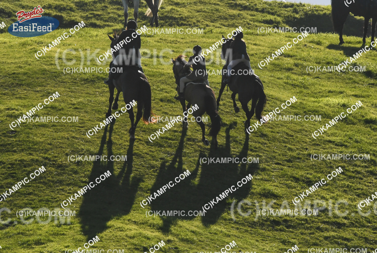 SL_170507_0209