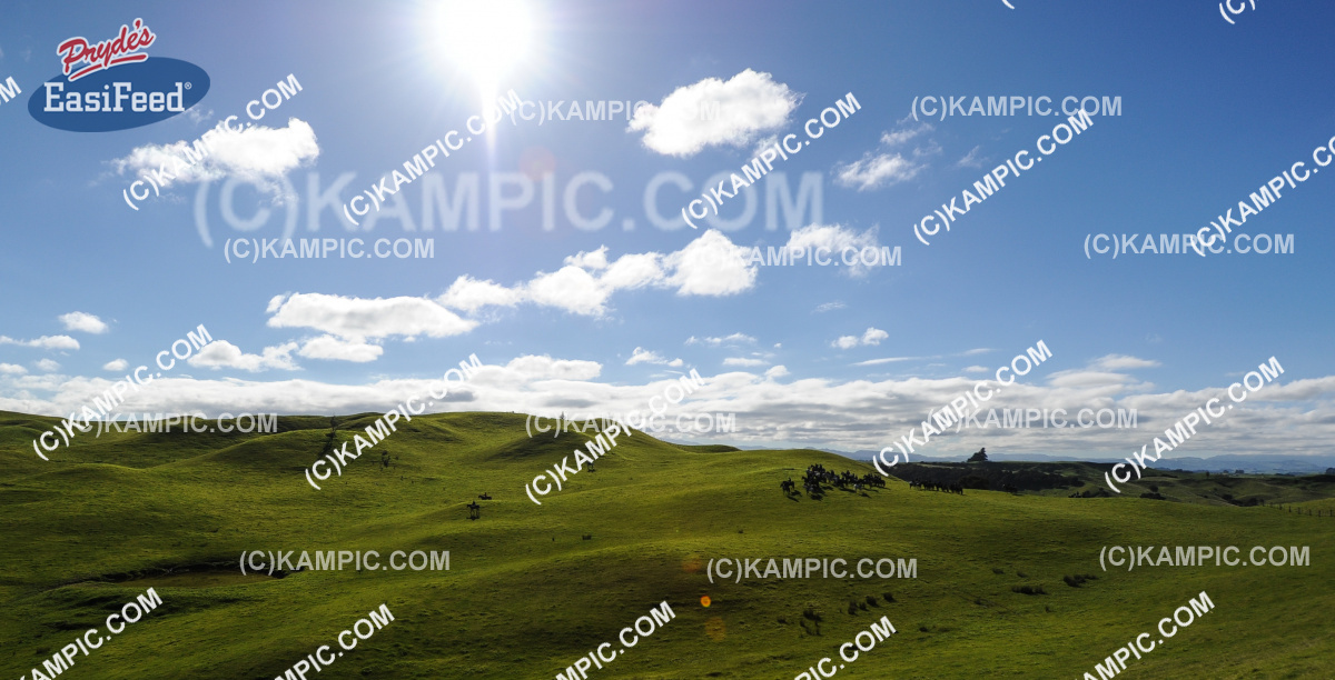 SL_170507_0226