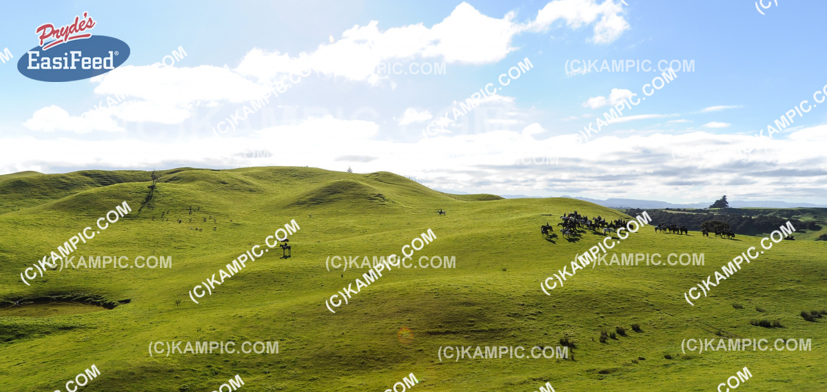 SL_170507_0229