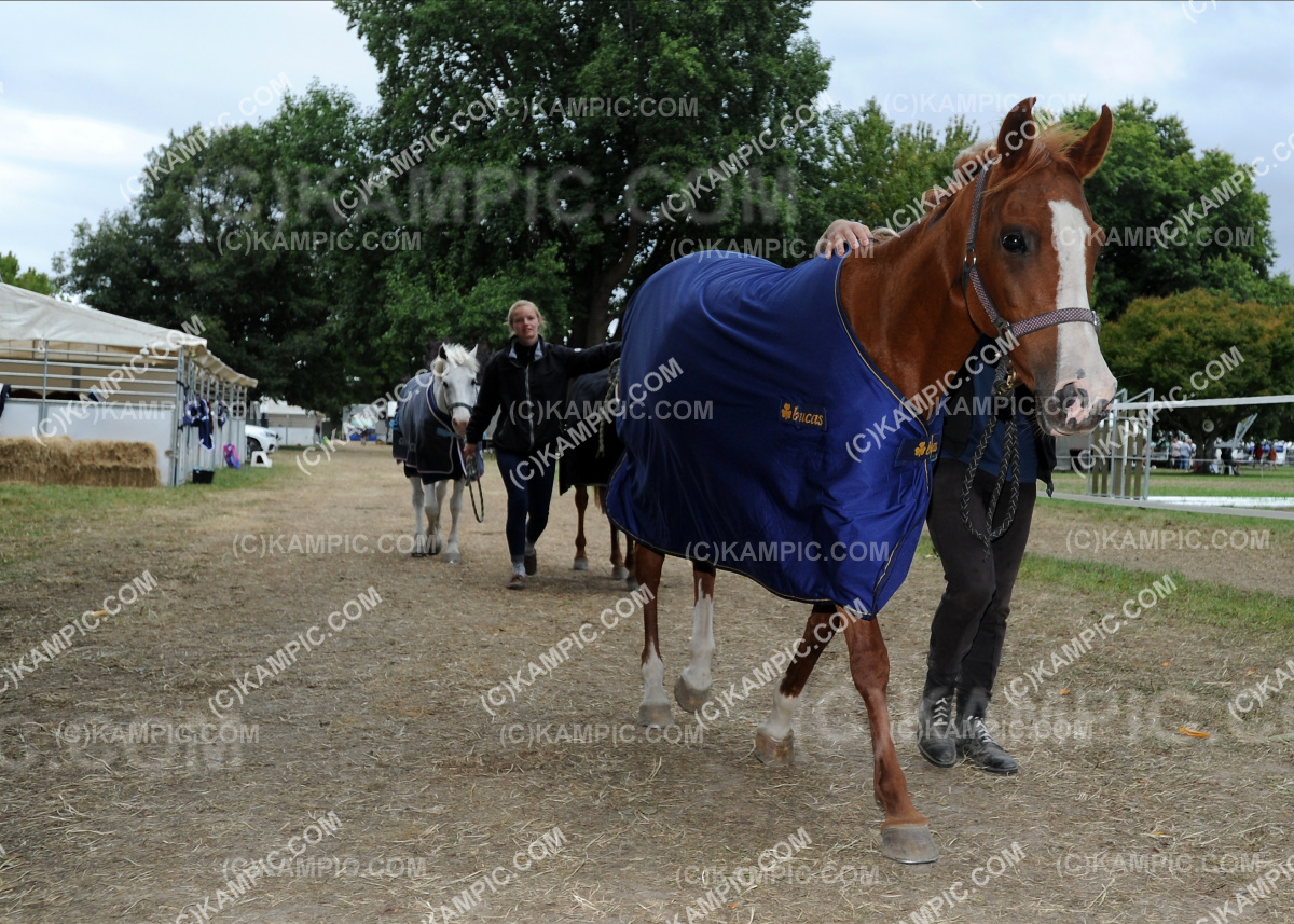 SL_200311_2419