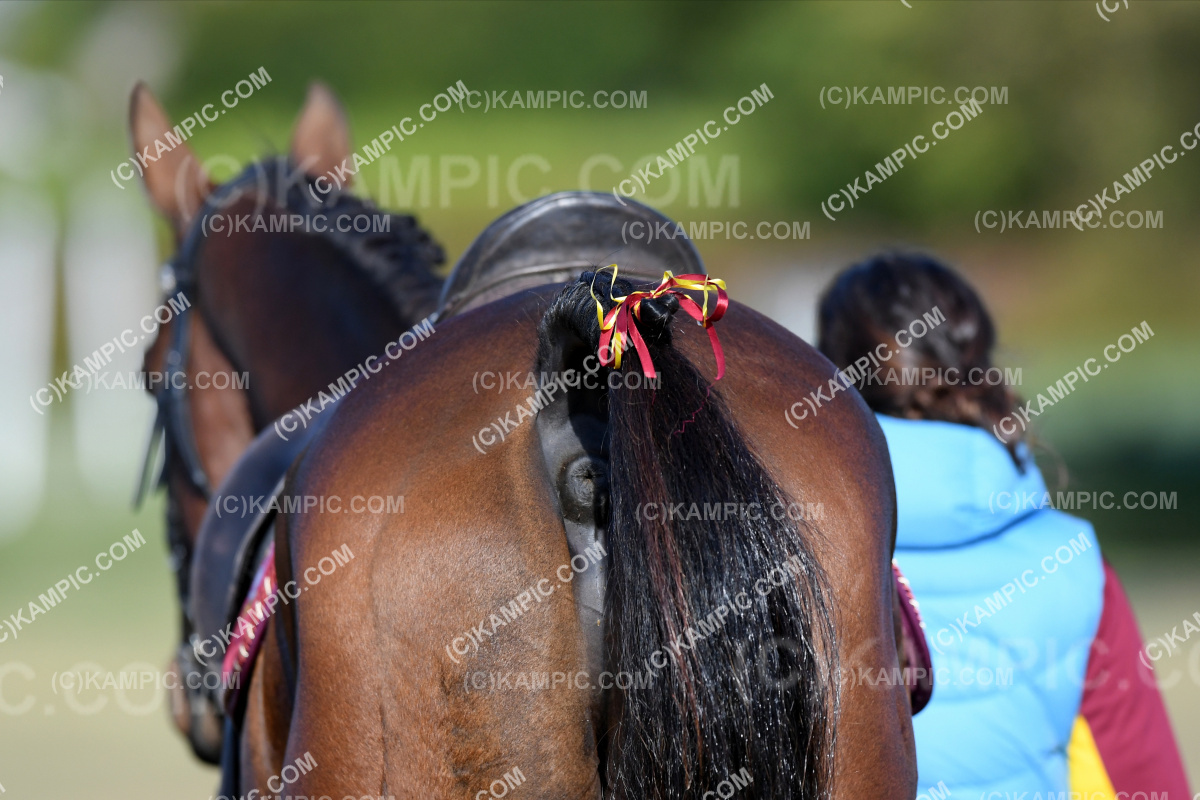 SL_210327_0404