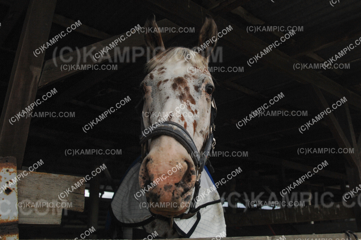 JW_030324_0006