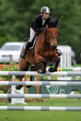 Horse 1.30m