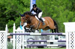 Horse 1.40m