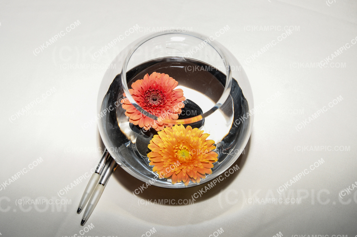 SL_191005_0045
