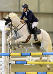 Pony 1.15m-1.20m