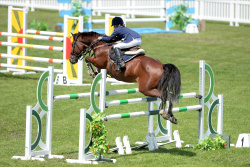 Pony 1.20m