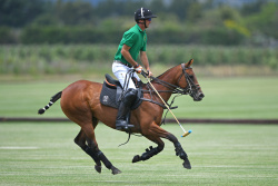 Wine Country Cup Polo 2020