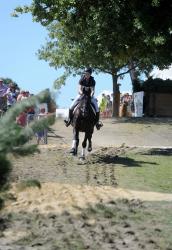 Eventing 3 Star Cross Country