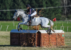 Eventing 3 Star Cross Country
