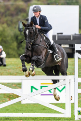 Eventing 2 Star Showjumping