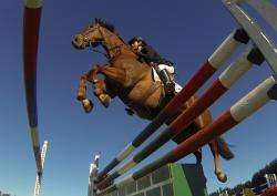 FEI Jumping Challenge 2013