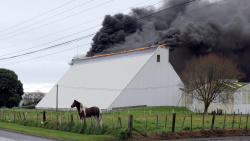 Fire at Ravensdown Napier 2012