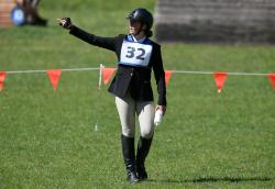 Showjumping